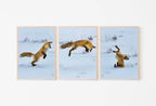 Framed view of Red Fox Hunting in Snow Set of 3 Prints, Fox Wall Art, Jumping Fox Painting, Set of Three Prints, Gallery Wall Set, Downloadable Prints – printable wall art digital download.