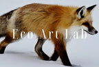 Detail view of artwork from Red Fox Walking in Snow. Printable Wall Art. Digital Download Fox Wall Art Poster. Nature Print Digital Art. Instant Download Winter Decor. (variation 1)