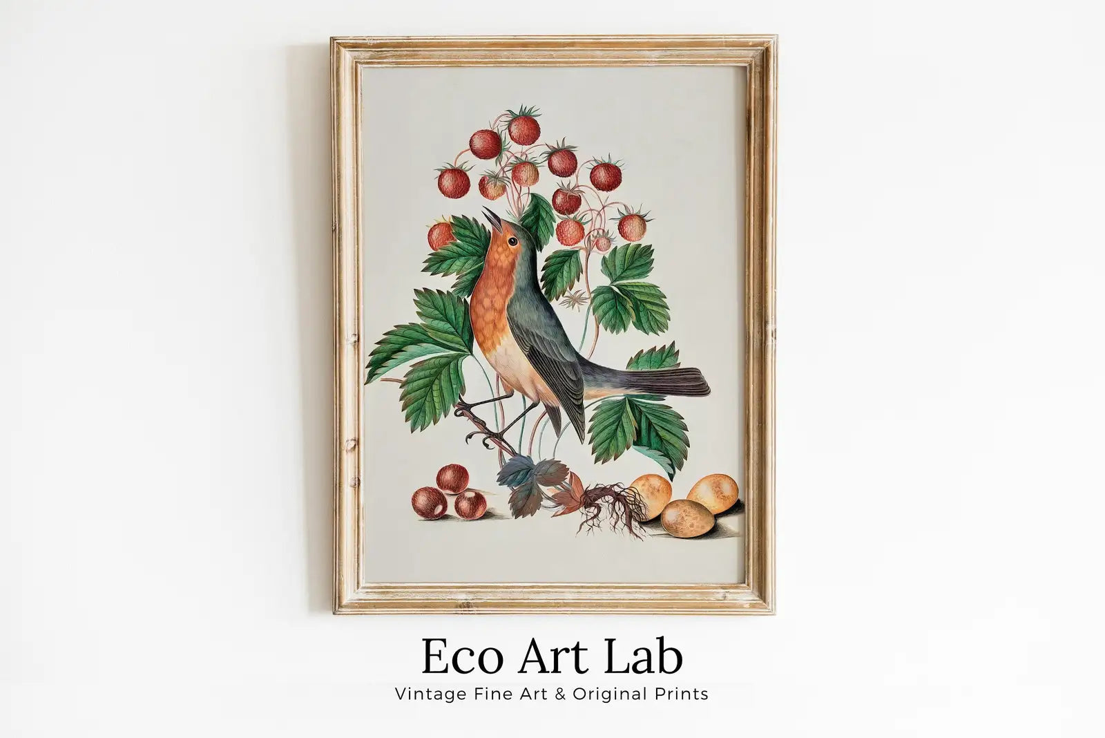 Framed view of Robin and Wild Strawberry, Wall Art Poster, Vintage Botanical Print, Bird Art, Nature Decor Flower Market Print Digital Printable Wall Art – printable wall art digital download.