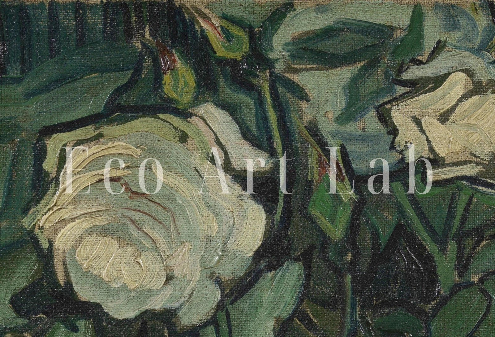 Tableau de roses célèbre de Van Gogh. Art de jardin de Van Gogh imprimable. Art botanique vintage. Tableau de roses blanches.