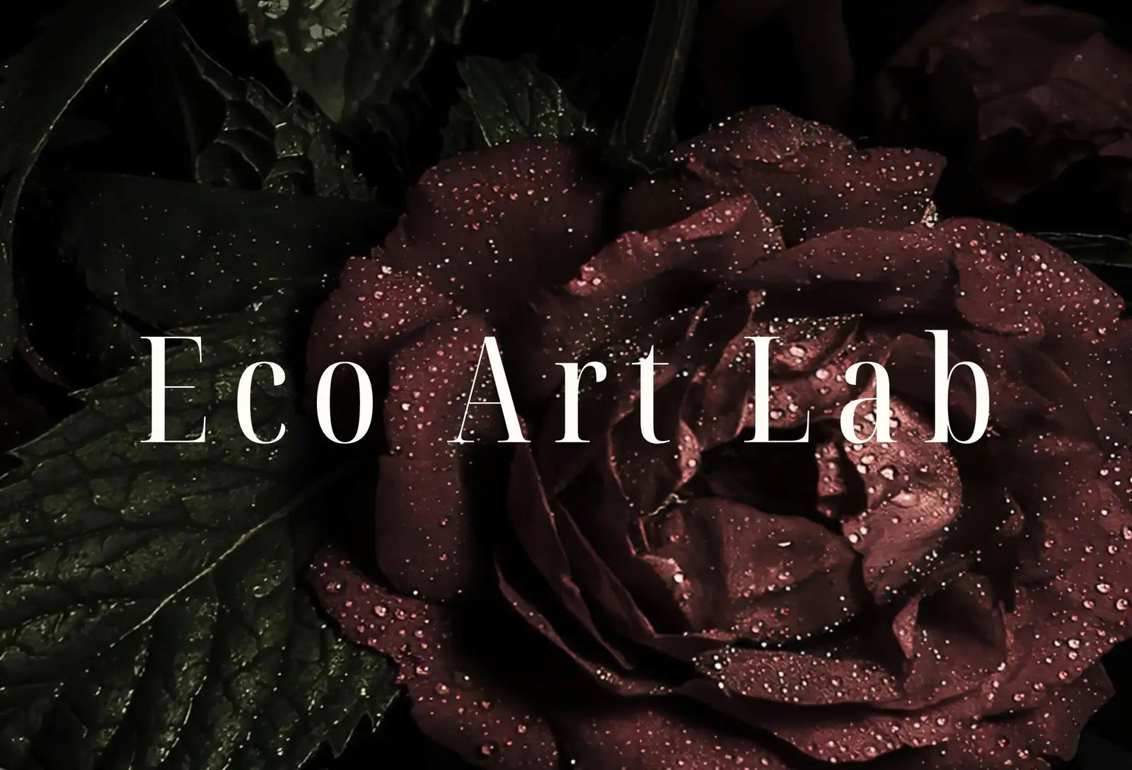 Detail view of artwork from Samsung Frame TV 4K Dark Roses Photography Art. Red Roses Decor Flowers Digital Download. Floral Botanical Art Nature Decor. (variation 1)