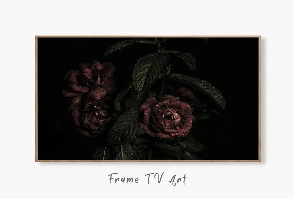 Samsung Frame TV 4K Dark Roses Photography Art. Red Roses Decor Flowers Digital Download. Floral Botanical Art Nature Decor displayed on Samsung Frame TV on a living room wall.