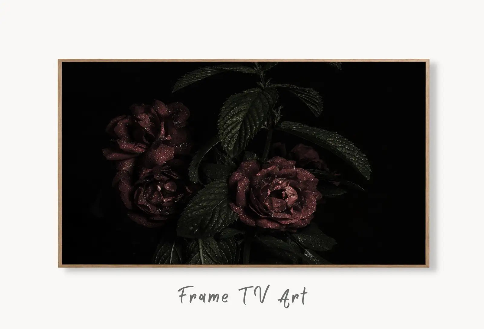 Samsung Frame TV 4K Dark Roses Photography Art. Red Roses Decor Flowers Digital Download. Floral Botanical Art Nature Decor displayed on Samsung Frame TV on a living room wall.