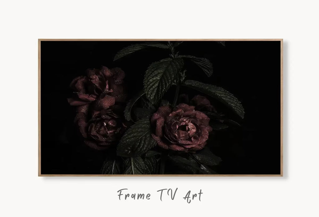 Samsung Frame TV 4K Dark Roses Photography Art. Red Roses Decor Flowers . Floral Botanical Art Nature Decor – Frame TV  Art