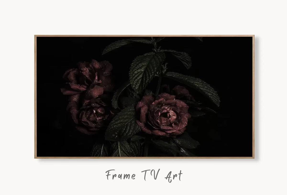 Samsung Frame TV 4K Dark Roses Photography Art. Red Roses Decor Flowers . Floral Botanical Art Nature Decor – Frame TV  Art