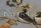 Samsung Frame TV 4K: Group of Birds Perched on Branches. Oil Vintage Painting (1630) – Frame TV  Art