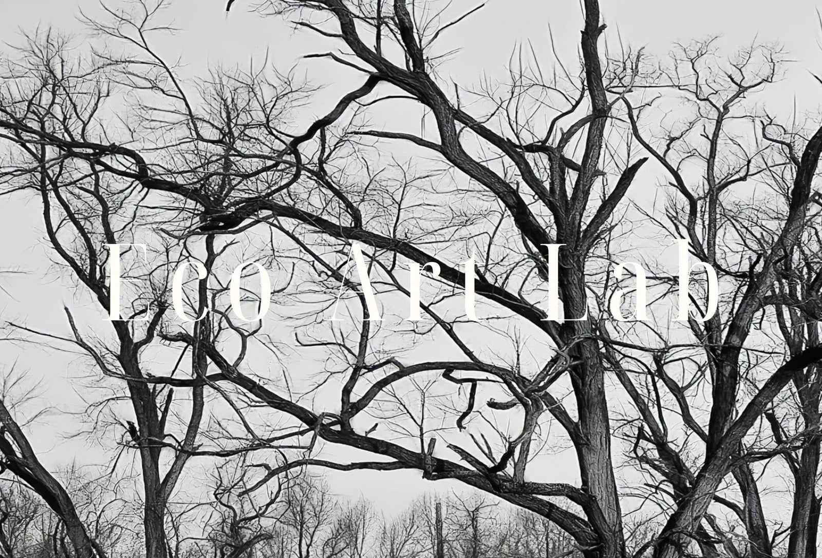 Included artwork preview showing first selection of artworks from Samsung Frame TV Art 4K Abandoned Haunted House. Dark Creepy Landscape Instant Download. Scary Frame TV Art. Art for the Samsung Frame TV.