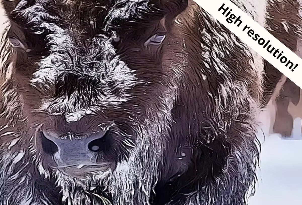 Samsung Frame TV Art 4K Bison Herd in Snow Landscape Digital Painting. Instant Download Buffalo Art for the Samsung Frame TV. Art for TV – Frame TV  Art