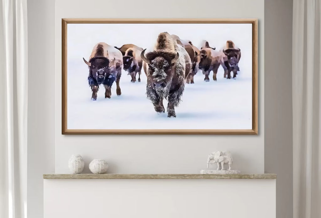 Samsung Frame TV Art 4K Bison Herd in Snow Landscape Digital Painting. Instant Download Buffalo Art for the Samsung Frame TV. Art for TV – Frame TV  Art