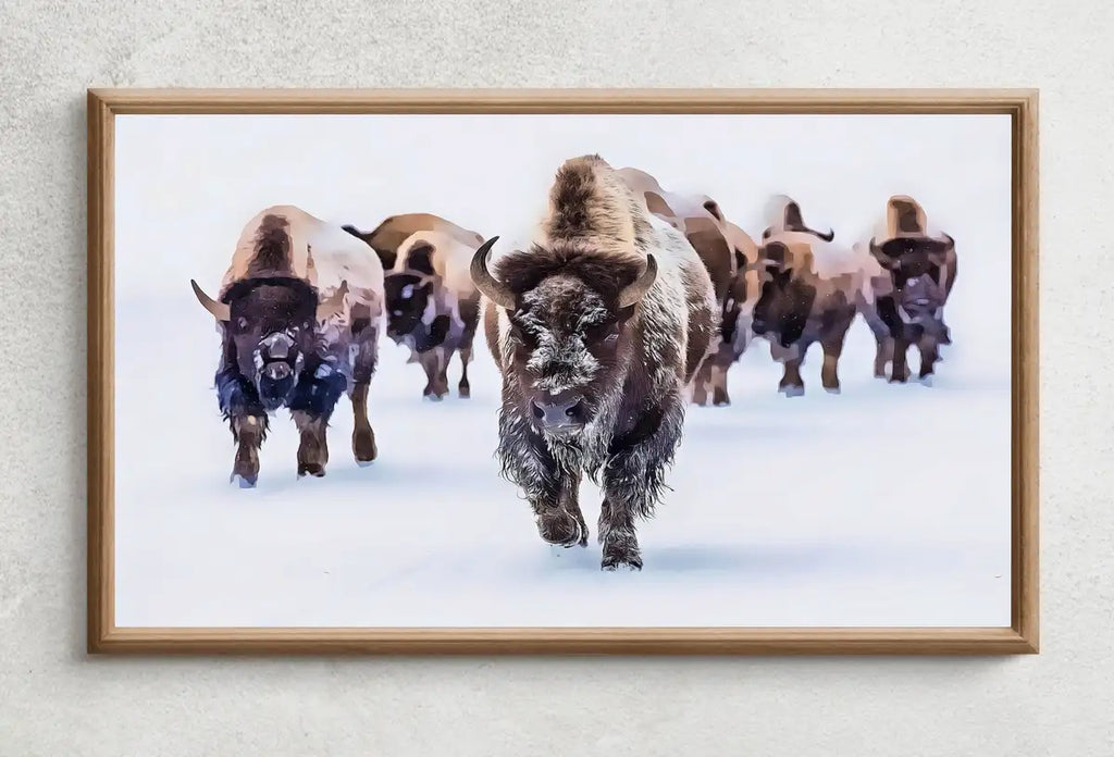 Samsung Frame TV Art 4K Bison Herd in Snow Landscape Digital Painting. Instant Download Buffalo Art for the Samsung Frame TV. Art for TV – Frame TV Digital Download Art – Digital Download