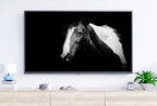 Samsung Frame TV Art 4K Black and White Horse Photography. Instant Download Black and White Horse Photo. Equestrian Art for Frame TV – Frame TV  Art
