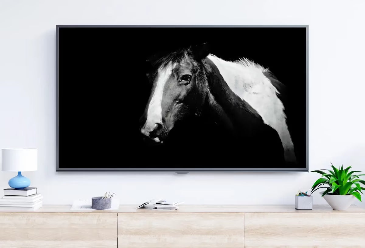 Samsung Frame TV Art 4K Black and White Horse Photography. Instant Download Black and White Horse Photo. Equestrian Art for Frame TV – Frame TV  Art