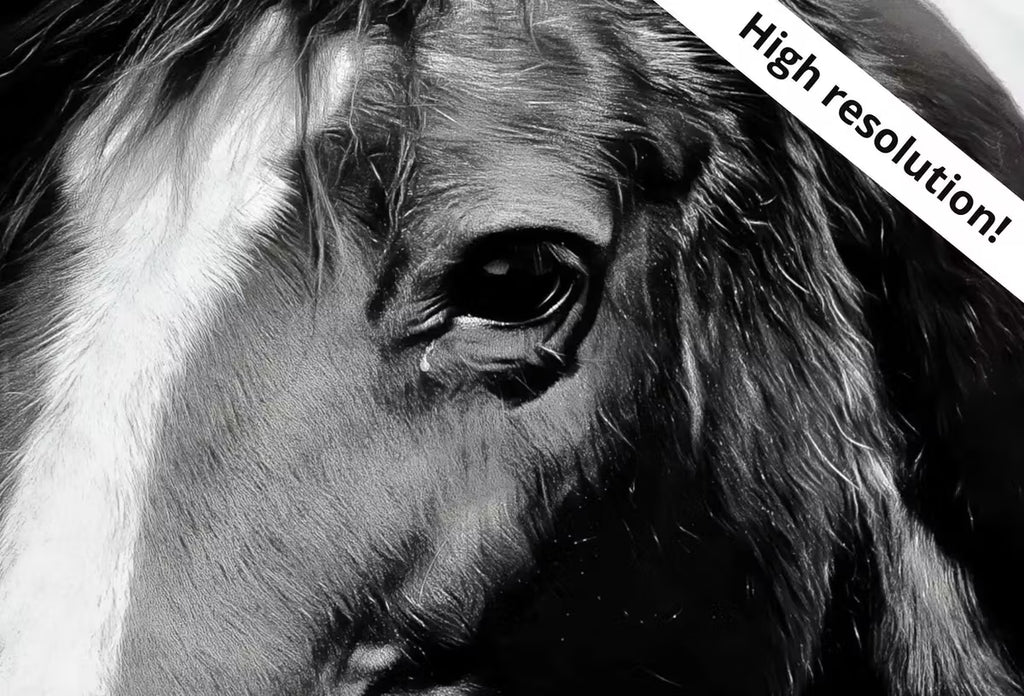 Samsung Frame TV Art 4K Black and White Horse Photography. Instant Download Black and White Horse Photo. Equestrian Art for Frame TV – Frame TV  Art