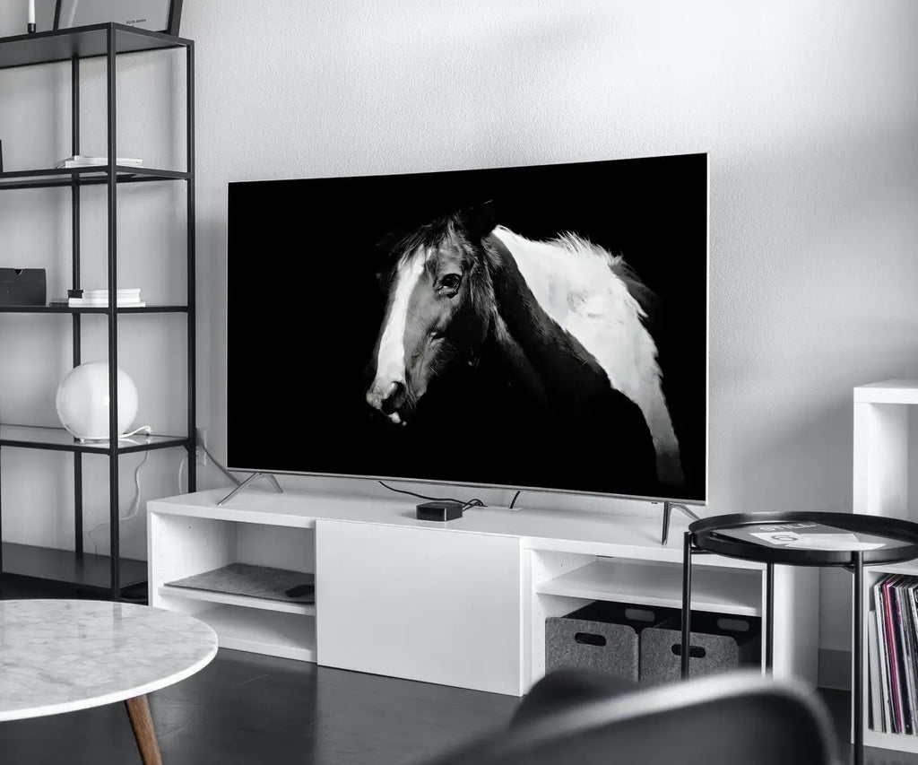 Detail view of artwork from Samsung Frame TV Art 4K Black and White Horse Photography. Instant Download Black and White Horse Photo. Equestrian Art for Frame TV. (variation 2)