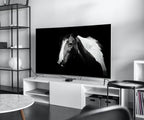 Detail view of artwork from Samsung Frame TV Art 4K Black and White Horse Photography. Instant Download Black and White Horse Photo. Equestrian Art for Frame TV. (variation 2)