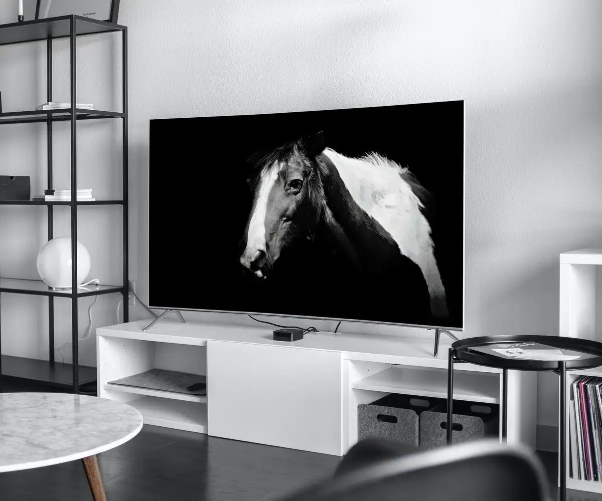 Detail view of artwork from Samsung Frame TV Art 4K Black and White Horse Photography. Instant Download Black and White Horse Photo. Equestrian Art for Frame TV. (variation 2)