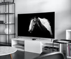Samsung Frame TV Art 4K Black and White Horse Photography. Instant Download Black and White Horse Photo. Equestrian Art for Frame TV – Frame TV  Art