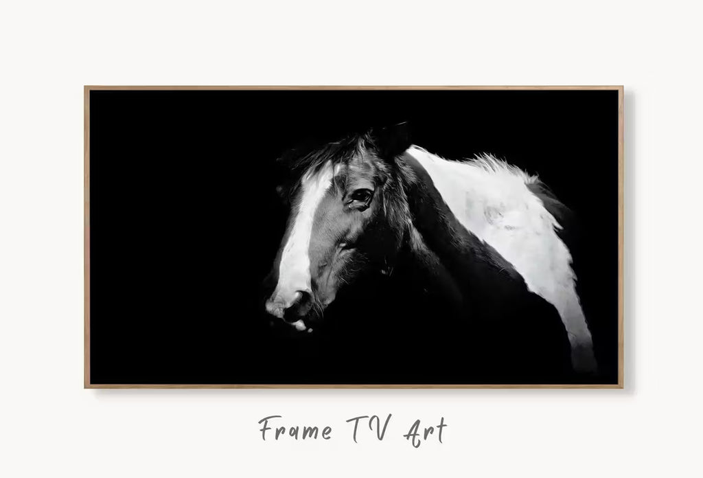 Samsung Frame TV Art 4K Black and White Horse Photography. Instant Download Black and White Horse Photo. Equestrian Art for Frame TV – Frame TV  Art
