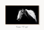 Samsung Frame TV Art 4K Black and White Horse Photography. Instant Download Black and White Horse Photo. Equestrian Art for Frame TV – Frame TV  Art
