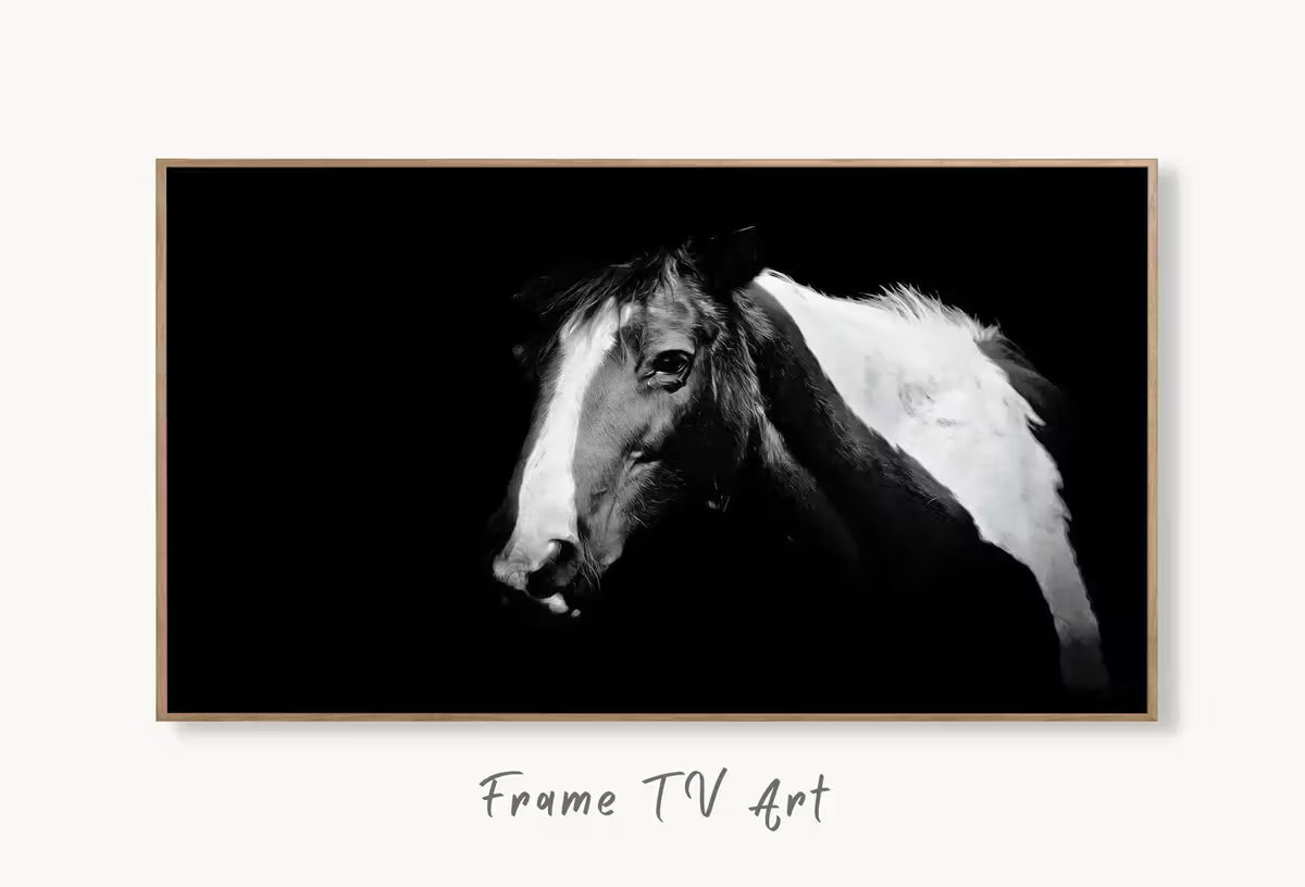 Samsung Frame TV Art 4K Black and White Horse Photography. Instant Download Black and White Horse Photo. Equestrian Art for Frame TV – Frame TV  Art