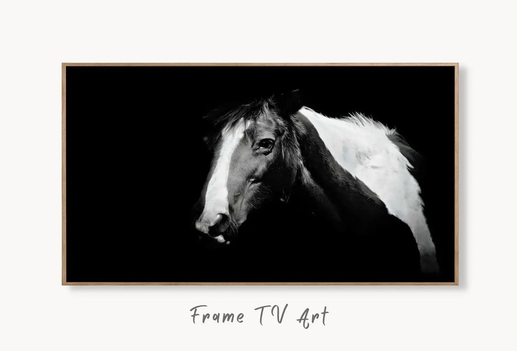 Samsung Frame TV Art 4K Black and White Horse Photography. Instant Download Black and White Horse Photo. Equestrian Art for Frame TV displayed on Samsung Frame TV on a living room wall.