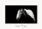 Samsung Frame TV Art 4K Black and White Horse Photography. Instant Download Black and White Horse Photo. Equestrian Art for Frame TV displayed on Samsung Frame TV on a living room wall.