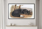 Second included artwork preview from Samsung Frame TV Art 4K Black Fox Vintage Painting. Instant Download Fox Wall Animal Nature Art for the Samsung Frame TV. Red Fox Art for TV featuring various scenes.