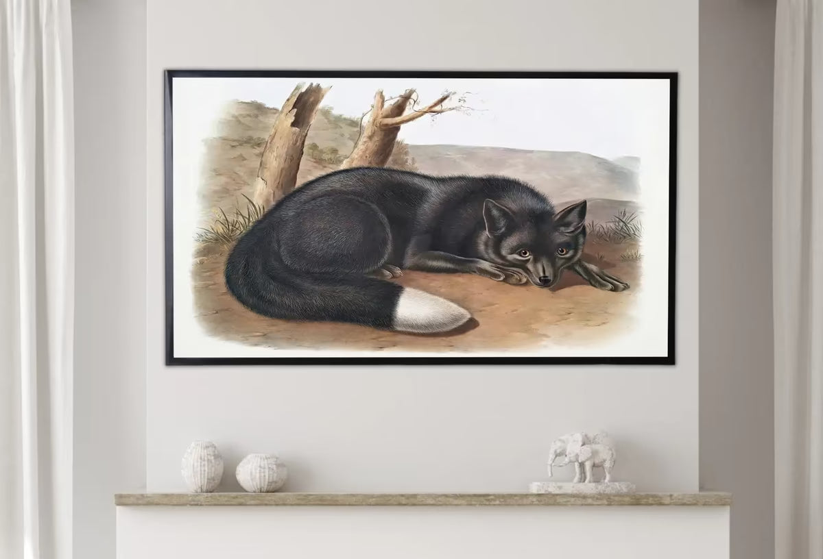 Samsung Frame TV Art 4K Black Fox Vintage Painting. Instant Download Fox Wall Animal Nature Art for the Samsung Frame TV. Red Fox Art for TV – Frame TV  Art