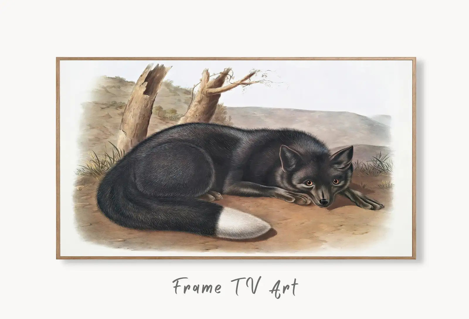 Samsung Frame TV Art 4K Black Fox Vintage Painting. Instant Download Fox Wall Animal Nature Art for the Samsung Frame TV. Red Fox Art for TV displayed on Samsung Frame TV on a living room wall.