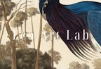 Samsung Frame TV Art 4K Blue Heron Tropical Bird Vintage Painting. Samsung TV Art Vintage. . Nature Art for Samsung Frame TV – Frame TV  Art