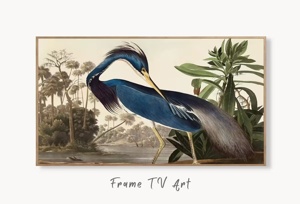 Samsung Frame TV Art 4K Blue Heron Tropical Bird Vintage Painting. Samsung TV Art Vintage. . Nature Art for Samsung Frame TV – Frame TV  Art