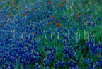 Included artwork preview showing first selection of artworks from Samsung Frame TV Art 4K Bluebonnets at Dawn. Vintage Spring Landscape Painting. Instant Download Floral Landscape. Wall Art for Frame TV.