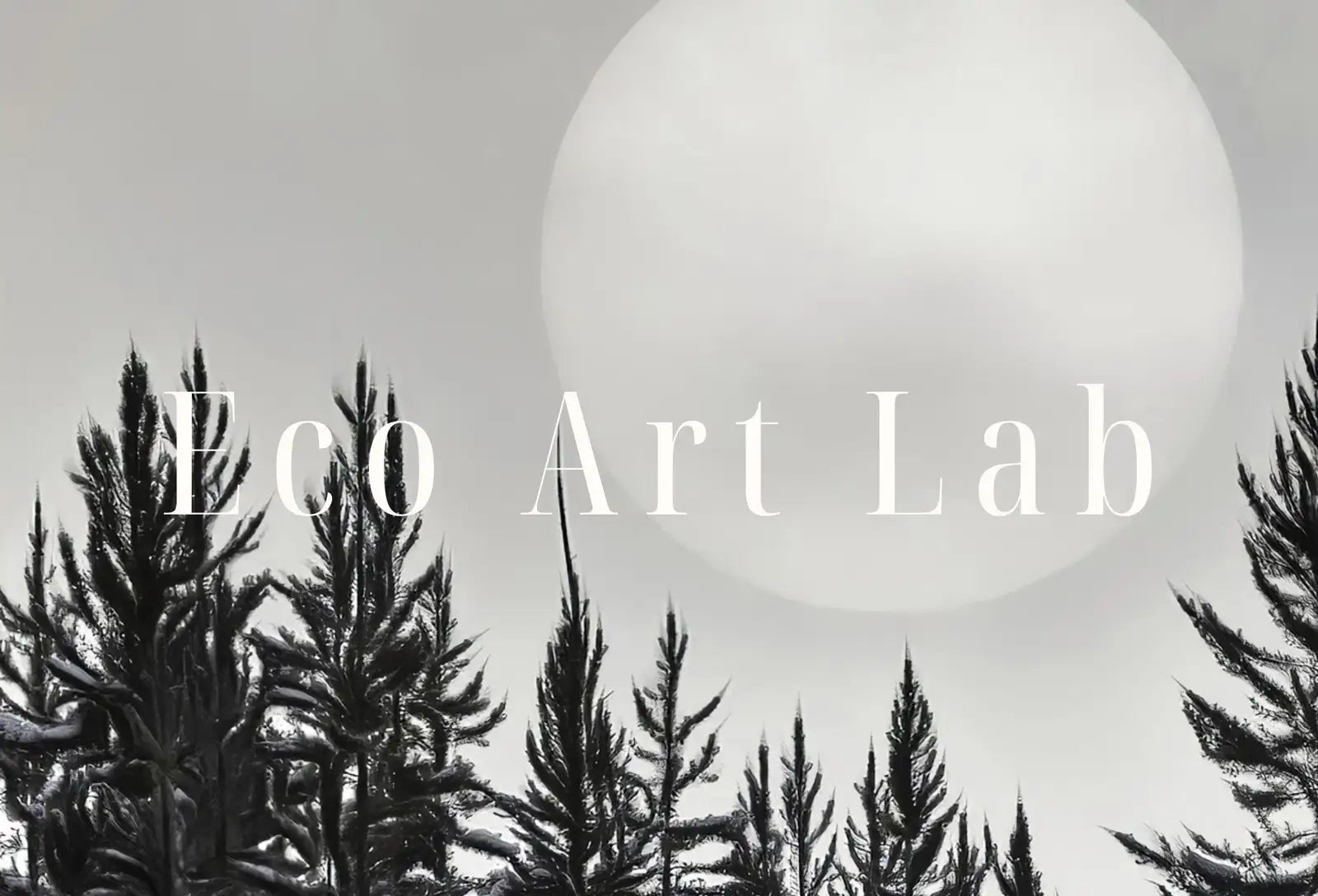 Included artwork preview showing first selection of artworks from Samsung Frame TV Art 4K Dark Forest & Moon Landscape Nature Wall Art. Instant Download Forest Digital Art. Pine Trees Art for Frame TV.
