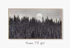 Samsung Frame TV Art 4K Dark Forest & Moon Landscape Nature Wall Art. Instant Download Forest Digital Art. Pine Trees Art for Frame TV – Frame TV  Art