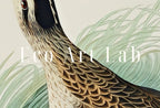 Included artwork preview showing first selection of artworks from Samsung Frame TV Art 4K Exotic Bird Vintage Painting. Hudsonian Curlew Samsung TV Art. Digital Download. Nature Art for Samsung Frame TV.