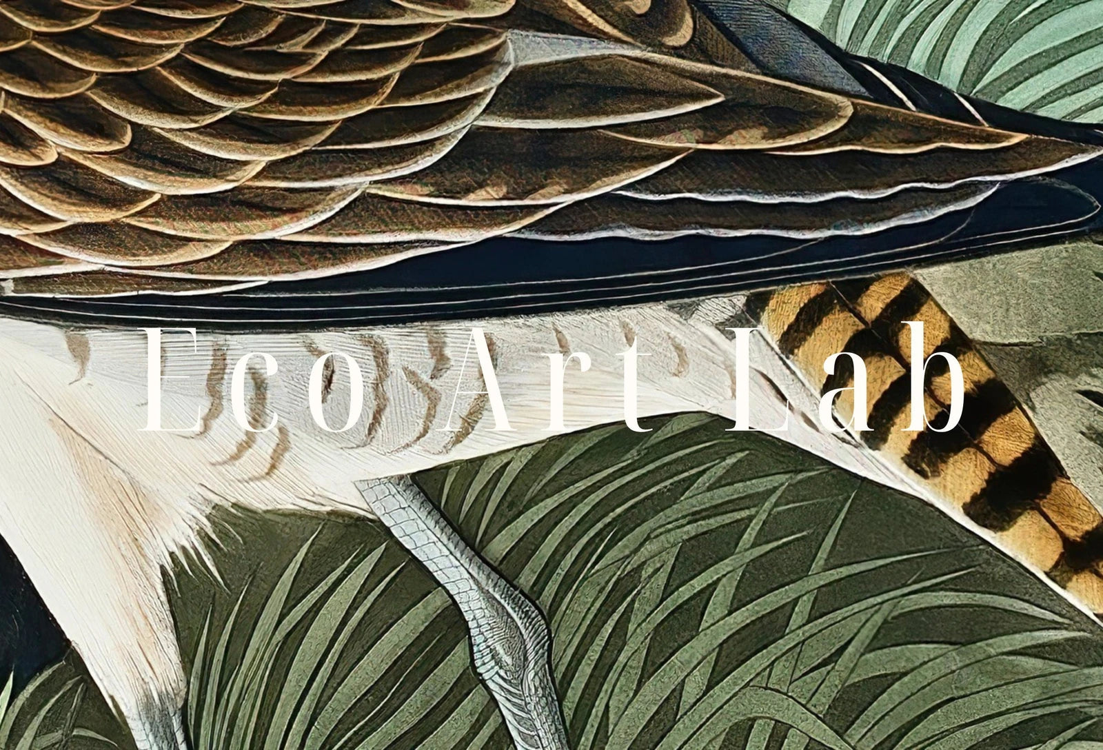 Detail view of artwork from Samsung Frame TV Art 4K Exotic Bird Vintage Painting. Hudsonian Curlew Samsung TV Art. Digital Download. Nature Art for Samsung Frame TV. (variation 1)