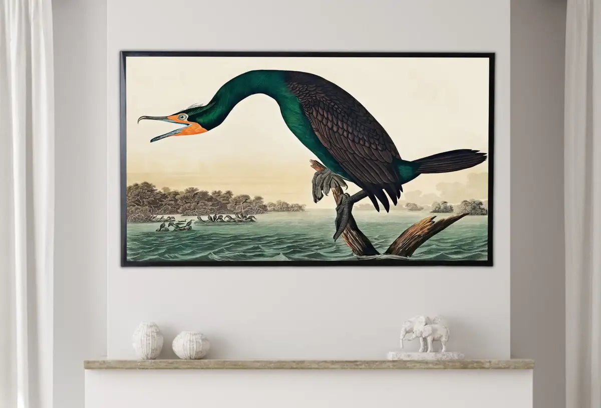 Detail view of artwork from Samsung Frame TV Art 4K Florida Cormorant Tropical Bird Painting. Vintage Samsung TV Art. Digital Download. Nature Art for Samsung Frame TV. (variation 2)