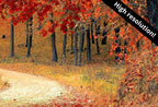 Samsung Frame TV Art 4K Forest Trail in the Fall Landscape Digital Painting. Instant Download Fall Art for the Samsung Frame TV. Art for TV – Frame TV  Art