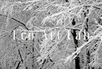 Included artwork preview showing first selection of artworks from Samsung Frame TV Art 4K Forest Trail in the Winter Landscape Digital Painting. Instant Download Snow Art for Samsung Frame TV. Art for TV.