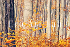 Detail view of artwork from Samsung Frame TV Art 4K Forests in the Fall Landscape Digital Paintings Set of 2. Instant Download. Nature Fall Art for the Samsung Frame TV. (variation 2)