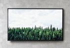 Samsung Frame TV Art 4K Green Forest Landscape Nature Wall Art. Instant Download Forest Photography. Pine Trees Art for Frame TV – Frame TV  Art