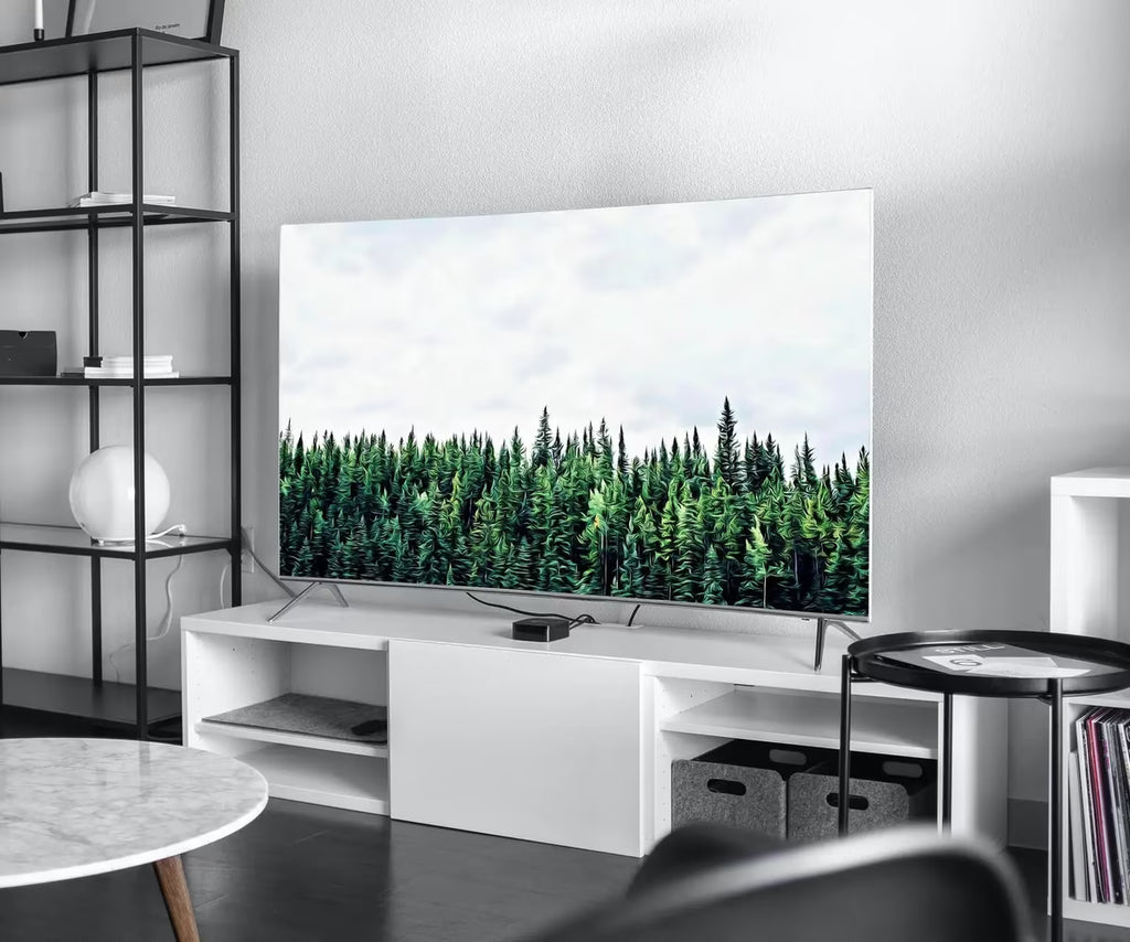 Samsung Frame TV Art 4K Green Forest Landscape Nature Wall Art. Instant Download Forest Photography. Pine Trees Art for Frame TV – Frame TV  Art
