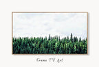 Collage of artworks from Samsung Frame TV Art 4K Green Forest Landscape Nature Wall Art. Instant Download Forest Photography. Pine Trees Art for Frame TV Frame TV Art Collection – digital download set.