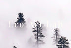Detail view of artwork from Samsung Frame TV Art 4K Misty Forest. Foggy Woodland Landscape Nature Wall Art. Instant Download Forest Digital Art. Trees Art for Frame TV. (variation 1)