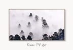 Samsung Frame TV Art 4K Misty Forest. Foggy Woodland Landscape Nature Wall Art. Instant Download Forest Digital Art. Trees Art for Frame TV – Frame TV  Art