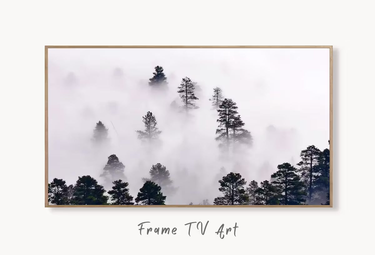 Samsung Frame TV Art 4K Misty Forest. Foggy Woodland Landscape Nature Wall Art. Instant Download Forest Digital Art. Trees Art for Frame TV – Frame TV  Art