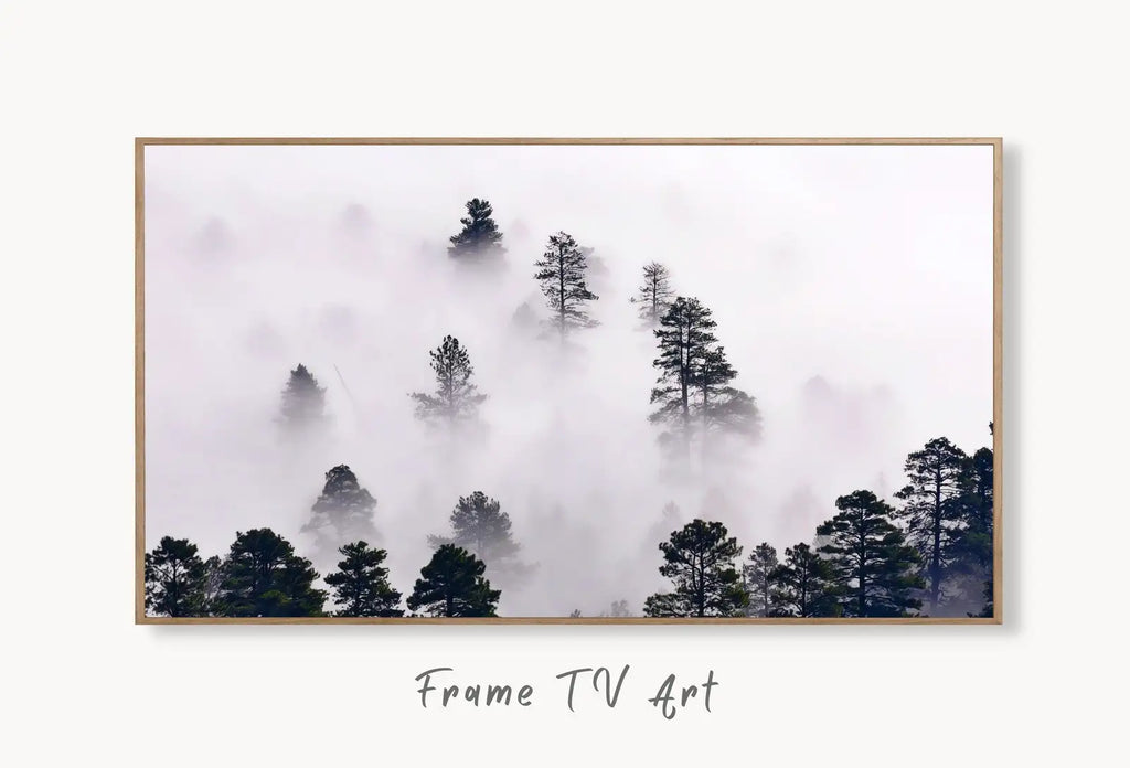 Samsung Frame TV Art 4K Misty Forest. Foggy Woodland Landscape Nature Wall Art. Instant Download Forest Digital Art. Trees Art for Frame TV displayed on Samsung Frame TV on a living room wall.