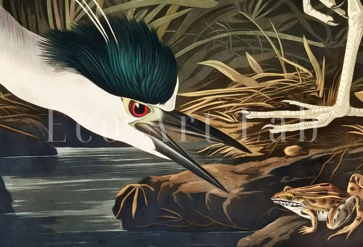 Samsung Frame TV Art 4K Night Heron Tropical Bird Vintage Painting. Samsung TV Art Vintage.  Nature Art for Samsung Frame TV – Frame TV  Art
