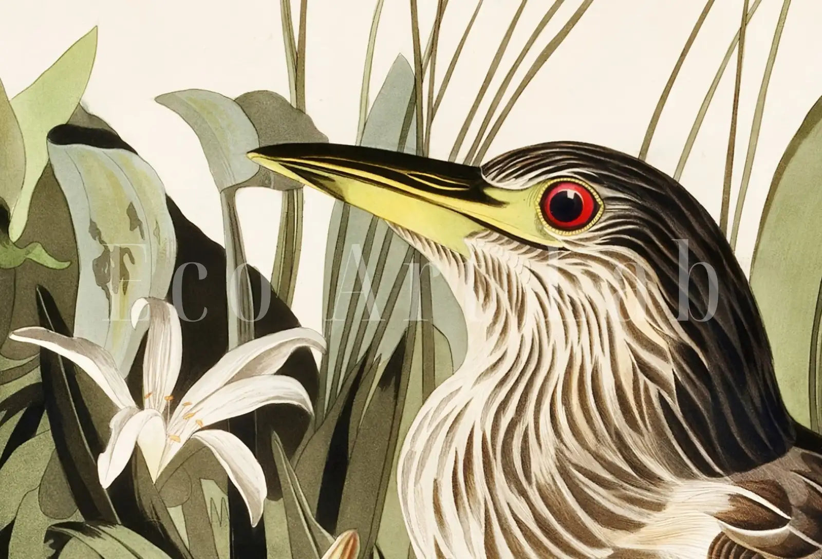 Second included artwork preview from Samsung Frame TV Art 4K Night Heron Tropical Bird Vintage Painting. Samsung TV Art Vintage. Digital Download Nature Art for Samsung Frame TV featuring various scenes.