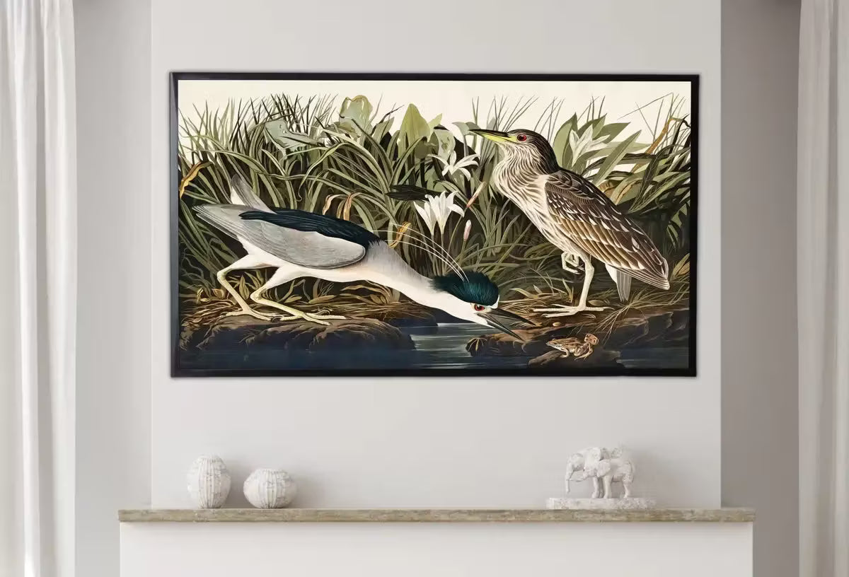 Samsung Frame TV Art 4K Night Heron Tropical Bird Vintage Painting. Samsung TV Art Vintage.  Nature Art for Samsung Frame TV – Frame TV  Art